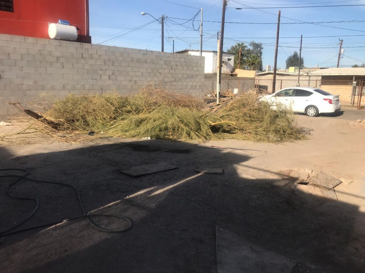 Terreno habitacional de 327.55m² en Ex Ejido Coahuila