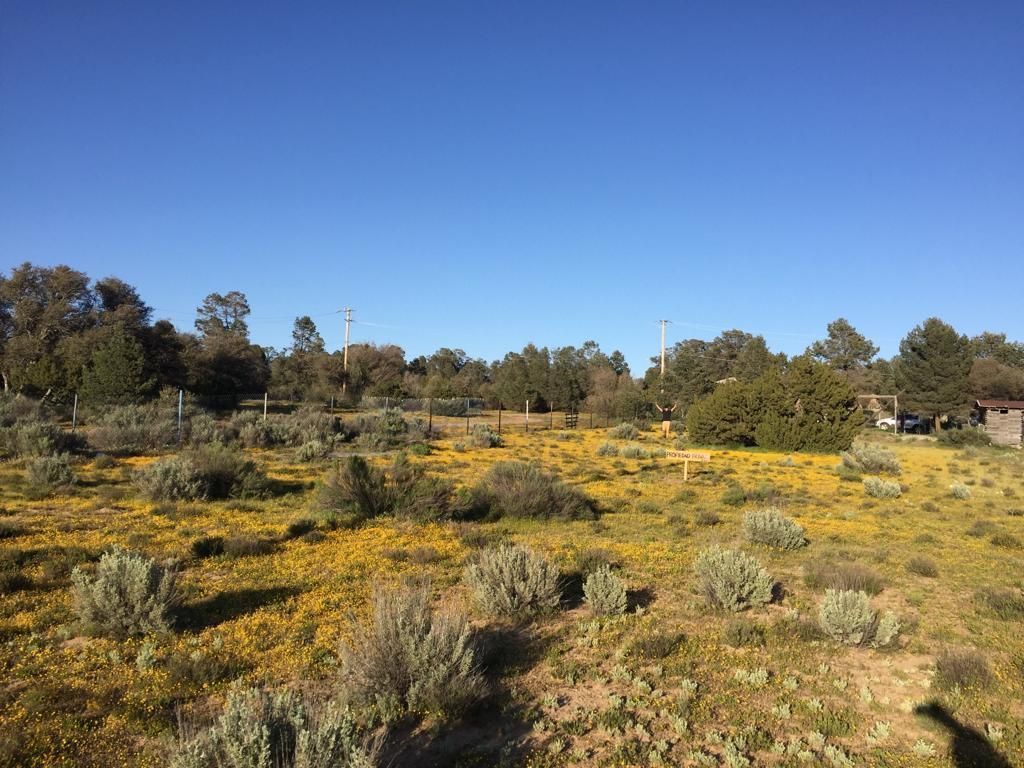 Terreno Habitacional de 1,000m² de superficie en El Cóndor, Tecate
