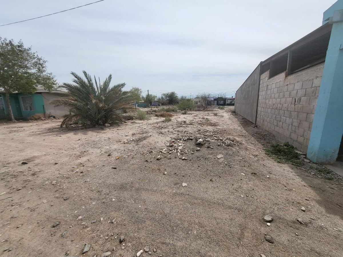 Terreno disponible para construir la casa de tus sueños en Coloso