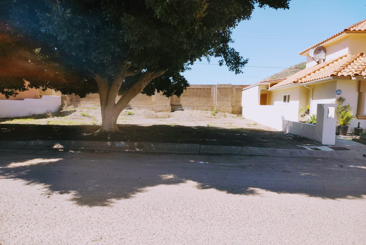 “Construye en el paraíso: terreno en Baja Country Club disponible para ti”