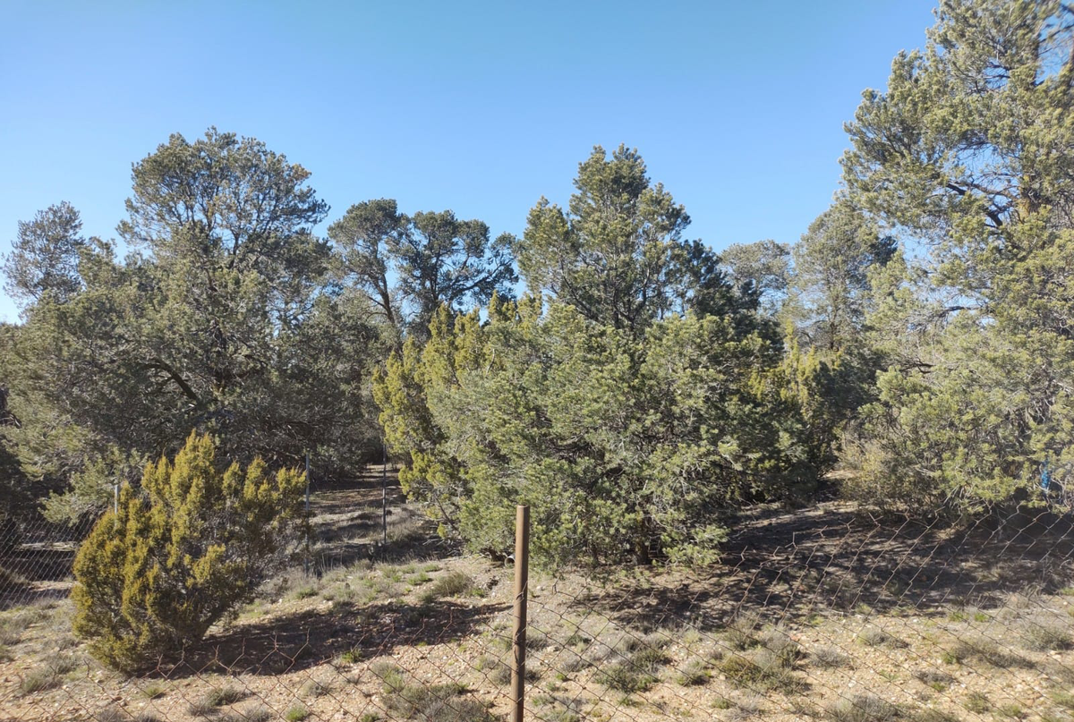 ¡El terreno de 2500 m2 ideal para construir tu casa de campo en Rancho Aguilar!