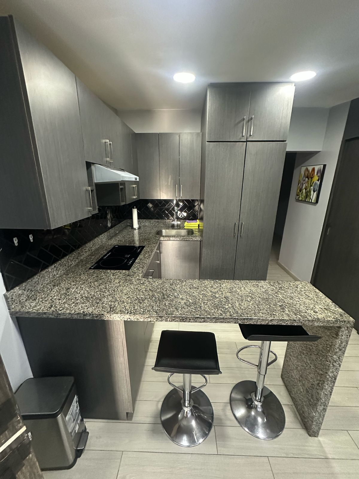 Departamento en Otay